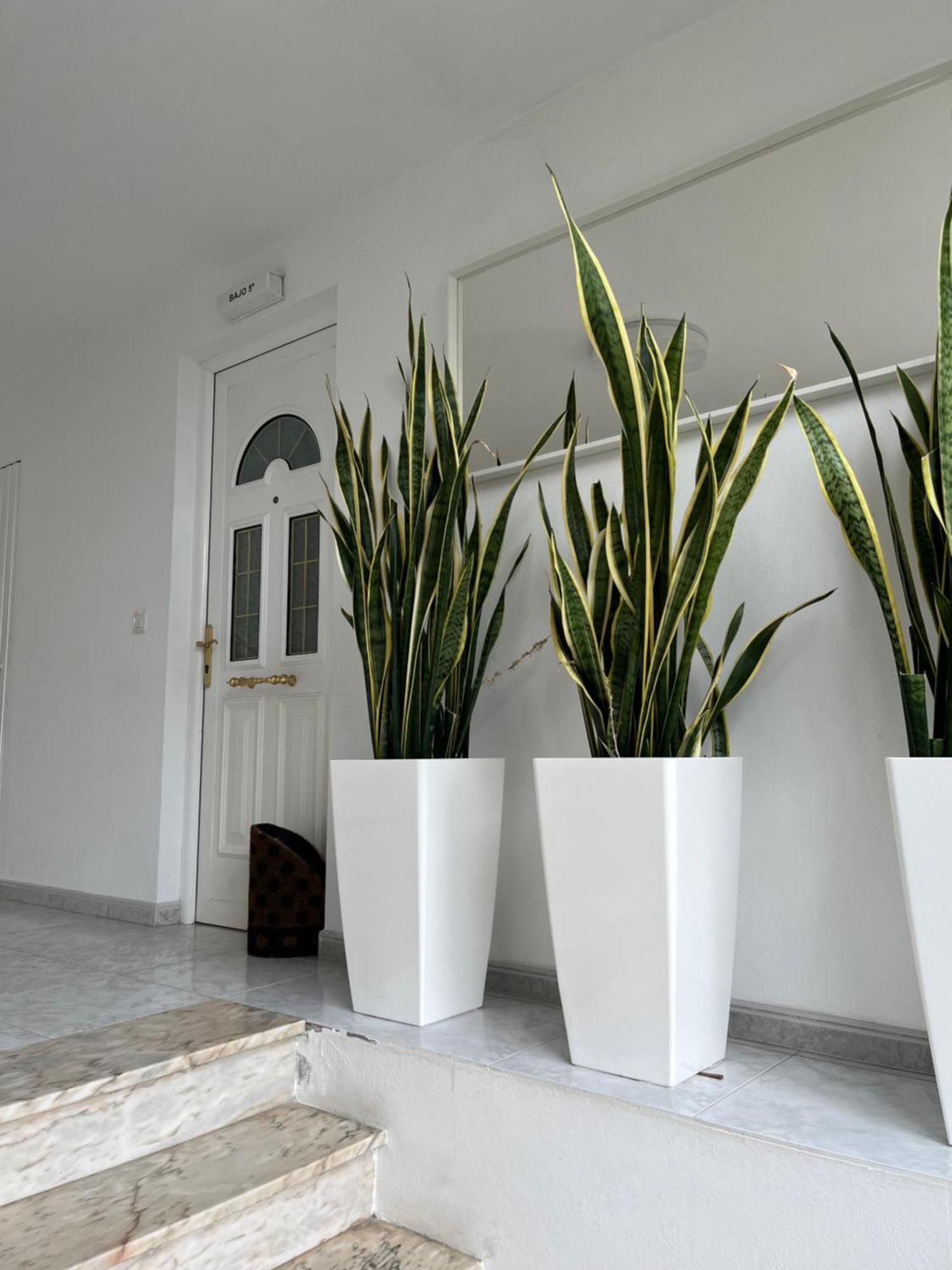 Apartamento En Sardineiro, Finisterre B5 Ngoại thất bức ảnh